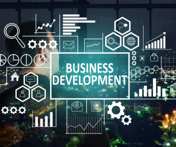 Website Development